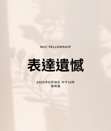 NVC 表達遺憾