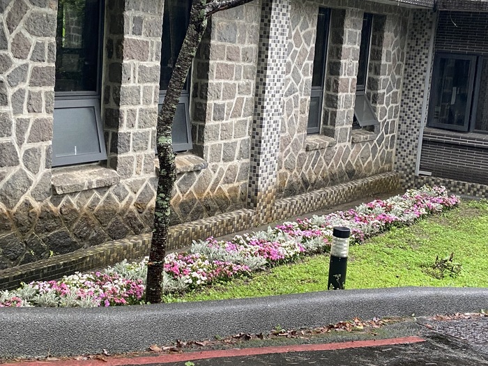 校門口、餐廳外草坪上栽植花卉（二）圖片
