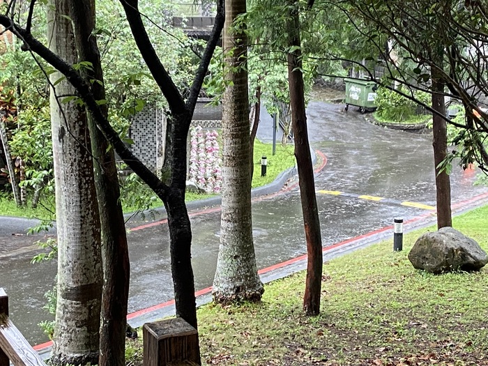 校門口、餐廳外草坪上栽植花卉（九）圖片