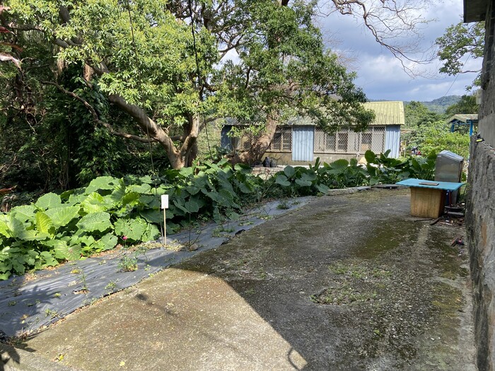 美化校園：整理校友會館後方垃圾回收區1圖片