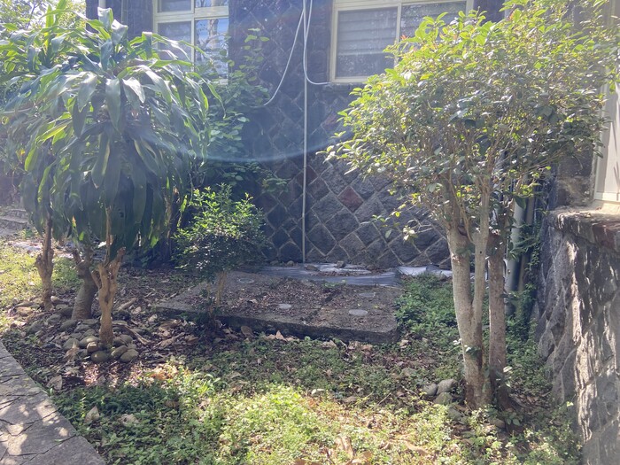 美化校園：老師宿舍前方樹林區割草、清理枯木1圖片