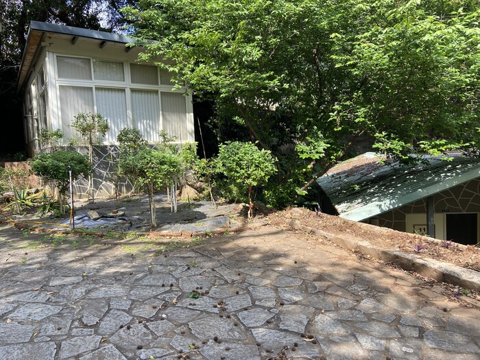 美化校園：教師研究室旁除草圖片