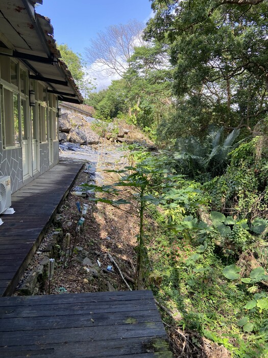 美化校園：研究部後方以及兩側邊坡除草、清理枯木1圖片