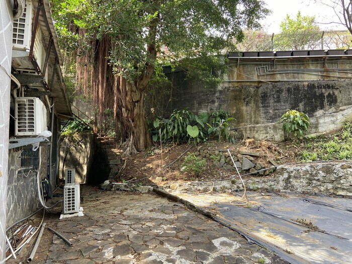 美化校園：研究部後方以及兩側邊坡除草、清理枯木2圖片