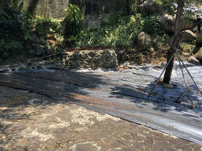 研究部後方空地重新鋪上抑草布（三）