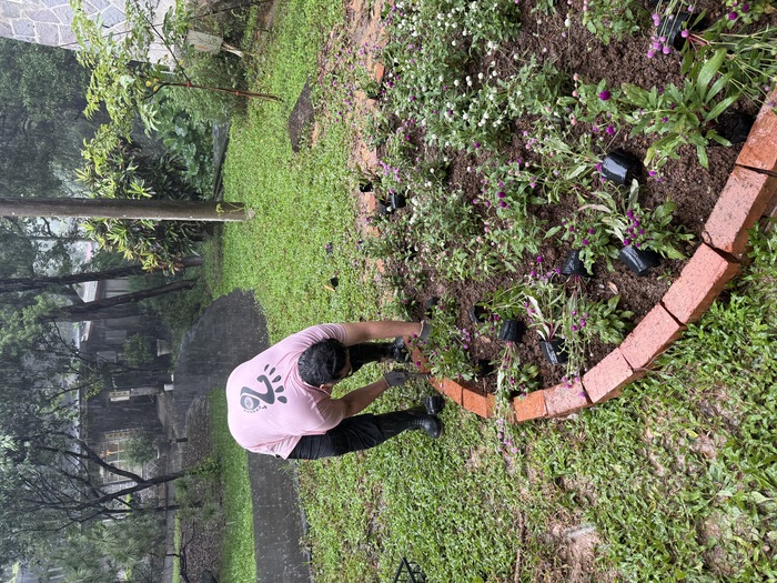 趁著大雨傾盆前，師生奮力栽下滿地花苗